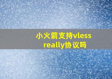 小火箭支持vless really协议吗